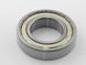 LPA 6209 ZZ bearing (45x85x19)