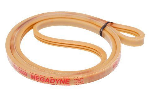 Belt 1034 J4 EL (polyurethane)