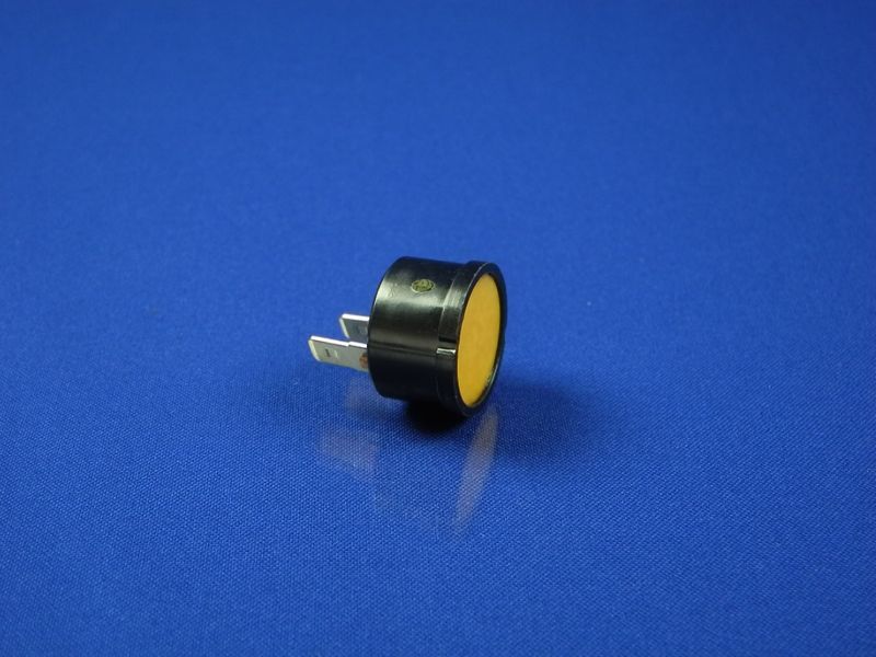 Fuse for LG refrigerator (6750CL0001A)