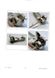 Ручки люка стиральной машины Zanussi-Electrolux-AEG белая (50276640005) 50276640005 фото 4