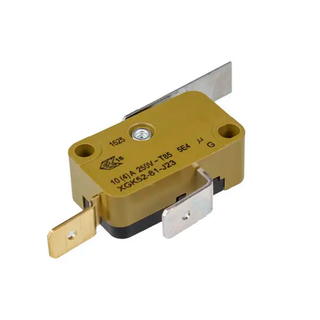 XGK52-81J23 micro switch 10A 250V for Saeco coffee machine (NE05.013)