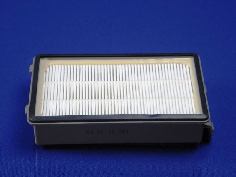 HEPA filter for Rowenta vacuum cleaner (RS-RT900586)